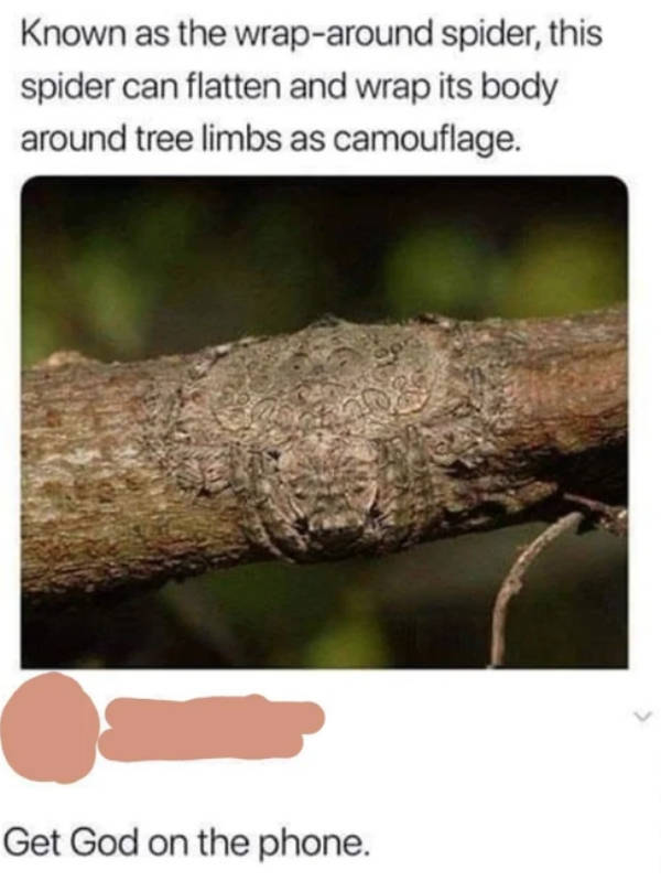 Looks Like A Big Fat Nope