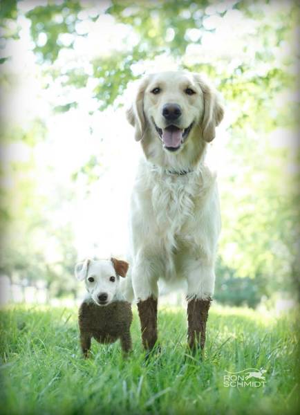 page,9,top 250 morning pics of the year 2019.html - 1 HD Photos | Premium Gallery 2019