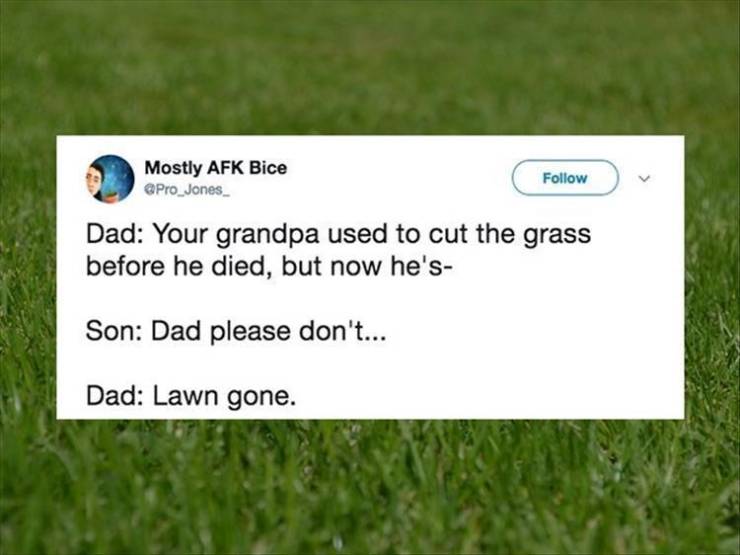 funny picdump 50 pics 9.html - 50 HD Photos | Premium Gallery 2019