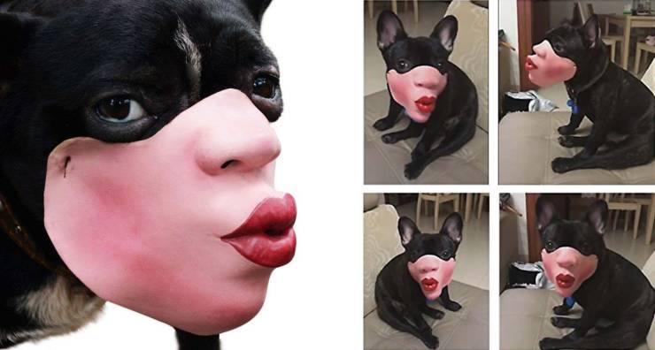 daily picdump 99 pics 8.html - 99 HD Photos | Premium Gallery 2019