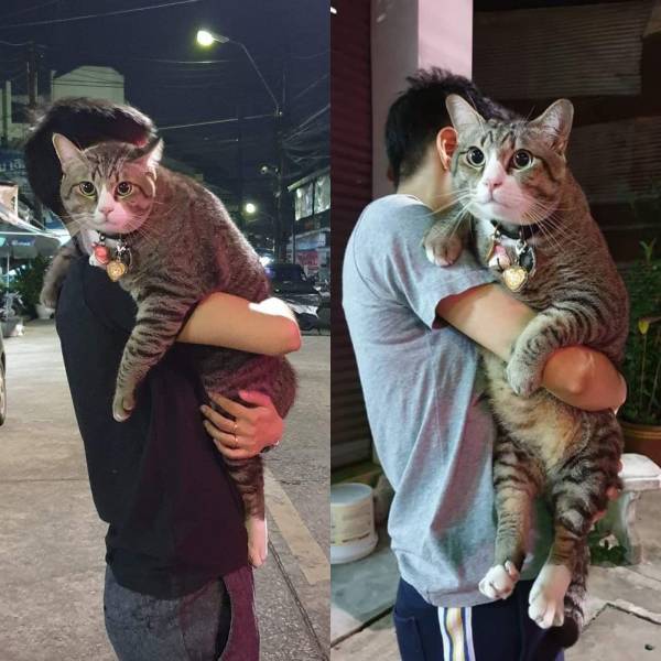 daily picdump 99 pics 8.html - 99 HD Photos | Premium Gallery 2019