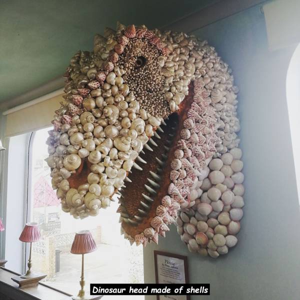 daily picdump 99 pics 8.html - 99 HD Photos | Premium Gallery 2019