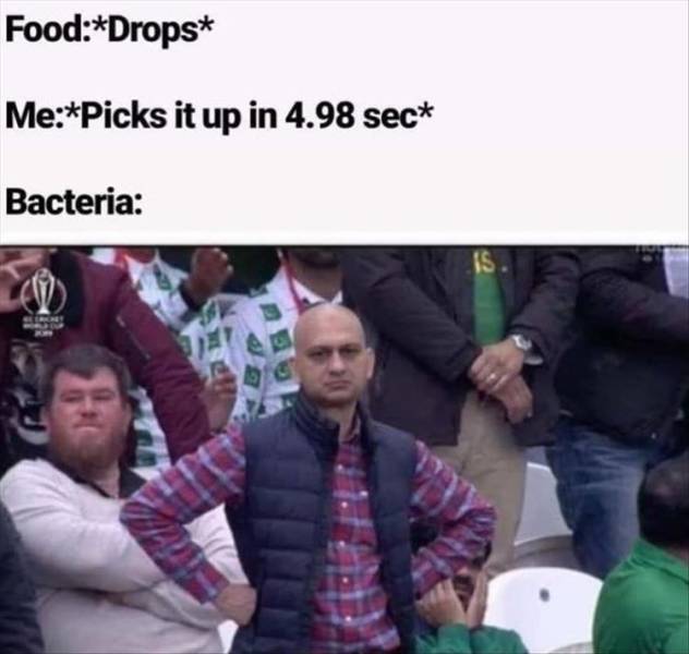 funny picdump 53 pics 10.html - 53 HD Photos | Premium Gallery 2019