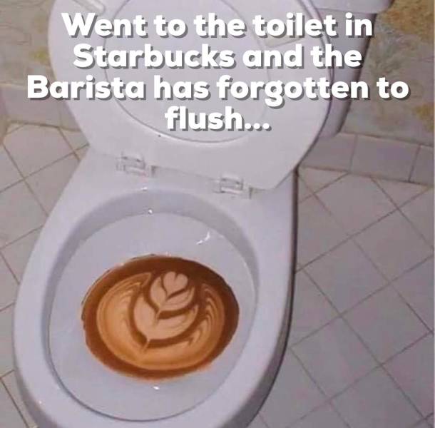 funny picdump 53 pics 10.html - 53 HD Photos | Premium Gallery 2019