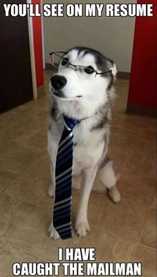 Funny Picdump