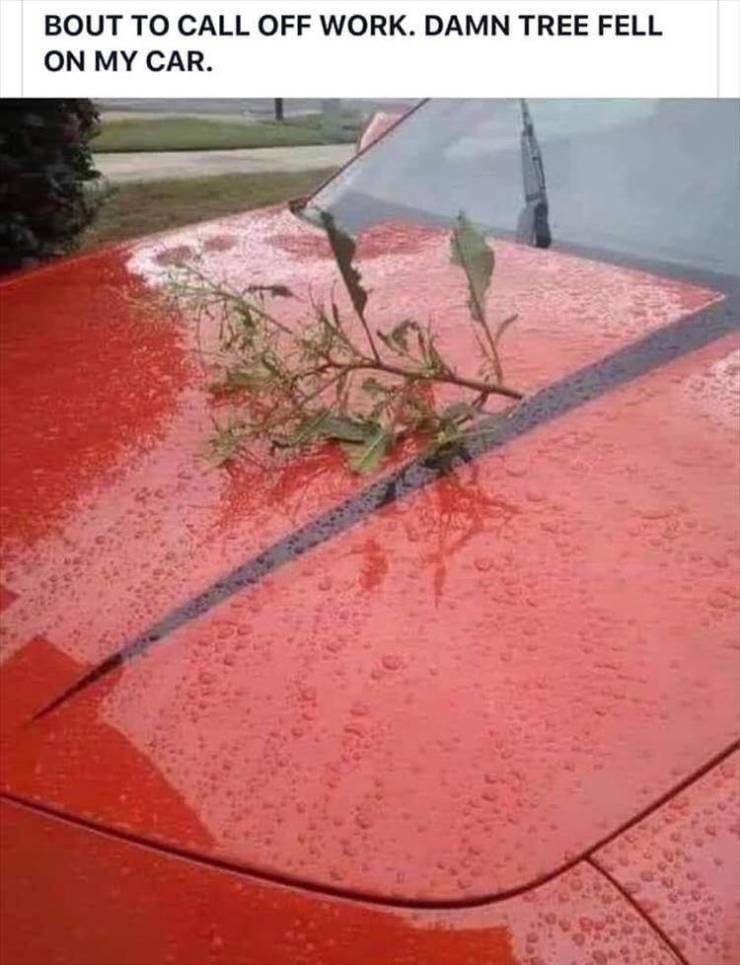 funny picdump 53 pics 10.html - 53 HD Photos | Premium Gallery 2019