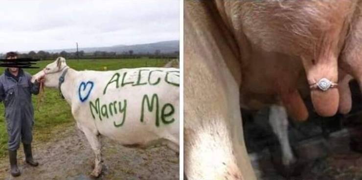 daily picdump 96 pics 2.html - 96 HD Photos | Premium Gallery 2019