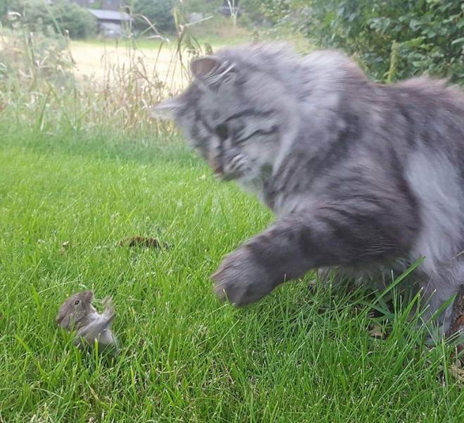 daily picdump 96 pics 2.html - 96 HD Photos | Premium Gallery 2019
