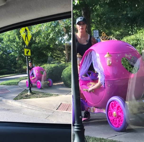 daily picdump 96 pics 2.html - 96 HD Photos | Premium Gallery 2019