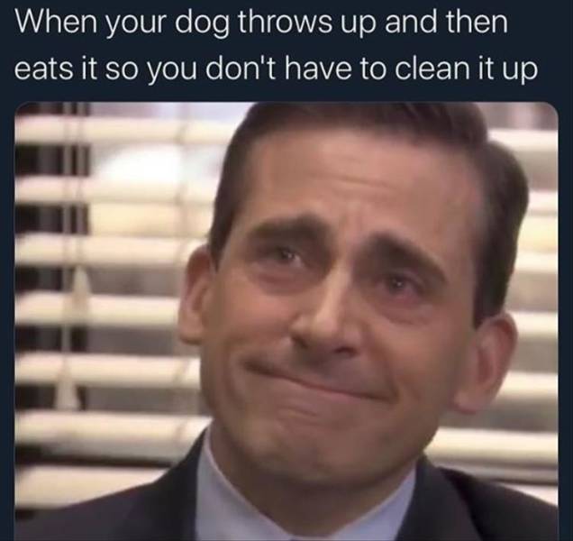 funny picdump 54 pics 7.html - 54 HD Photos | Premium Gallery 2019