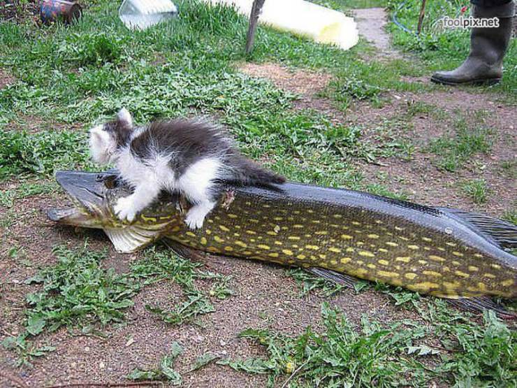 daily picdump 97 pics 9.html - 97 HD Photos | Premium Gallery 2019