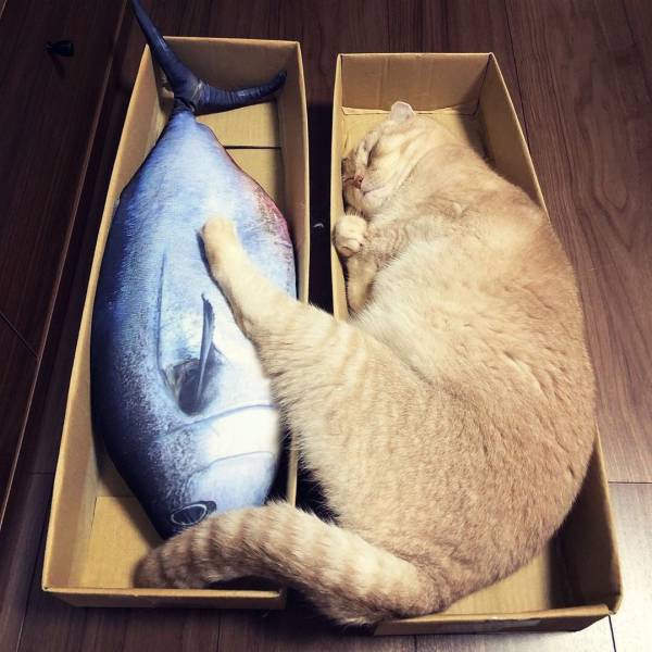 daily picdump 97 pics 9.html - 97 HD Photos | Premium Gallery 2019