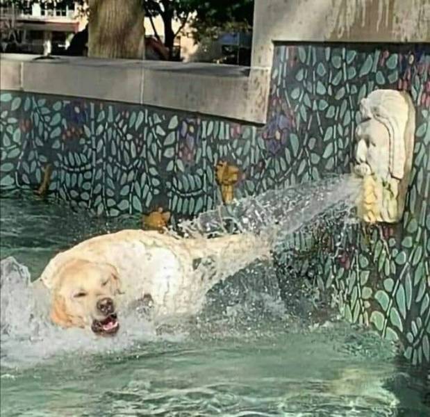 daily picdump 97 pics 9.html - 97 HD Photos | Premium Gallery 2019