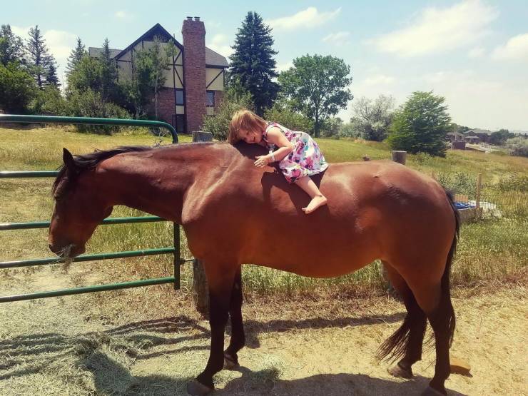 daily picdump 97 pics 9.html - 97 HD Photos | Premium Gallery 2019