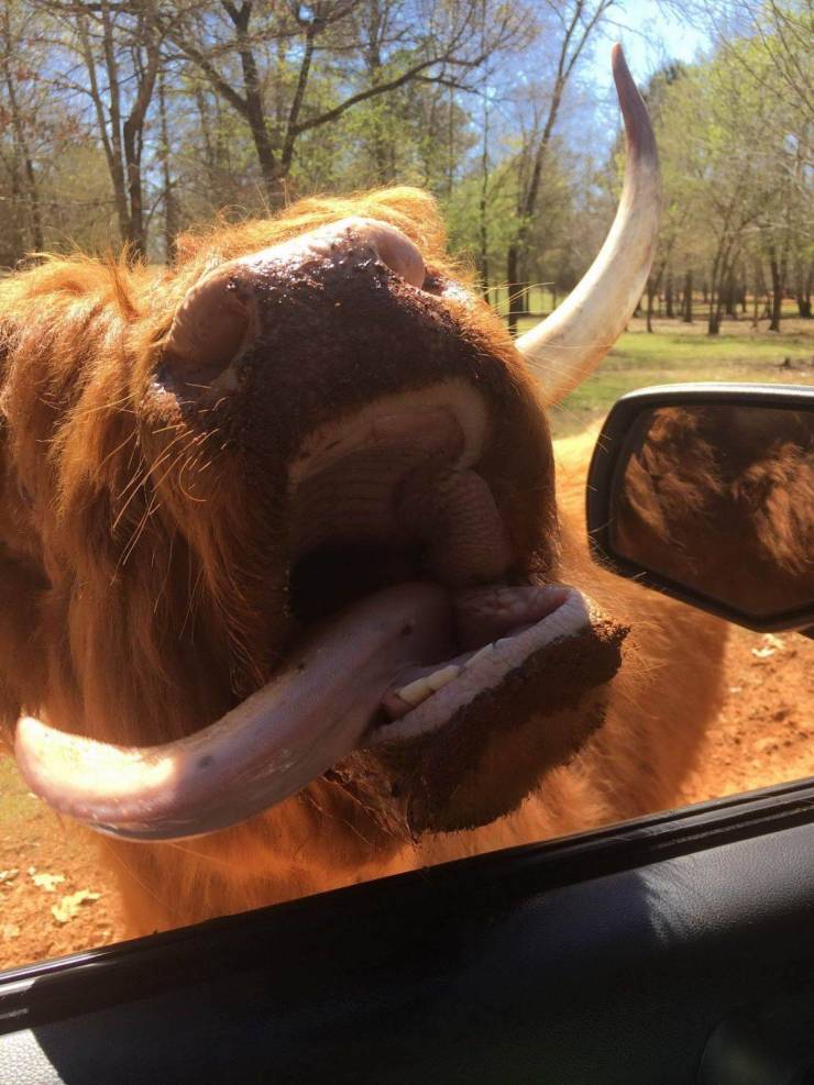 daily picdump 97 pics 9.html - 97 HD Photos | Premium Gallery 2019