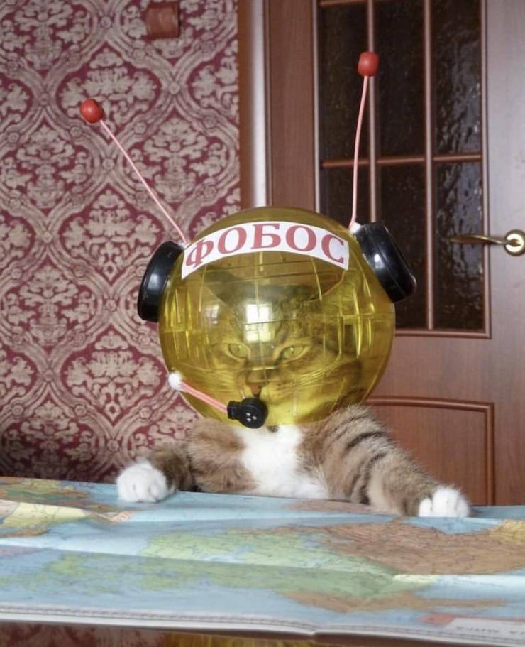 daily picdump 97 pics 9.html - 97 HD Photos | Premium Gallery 2019