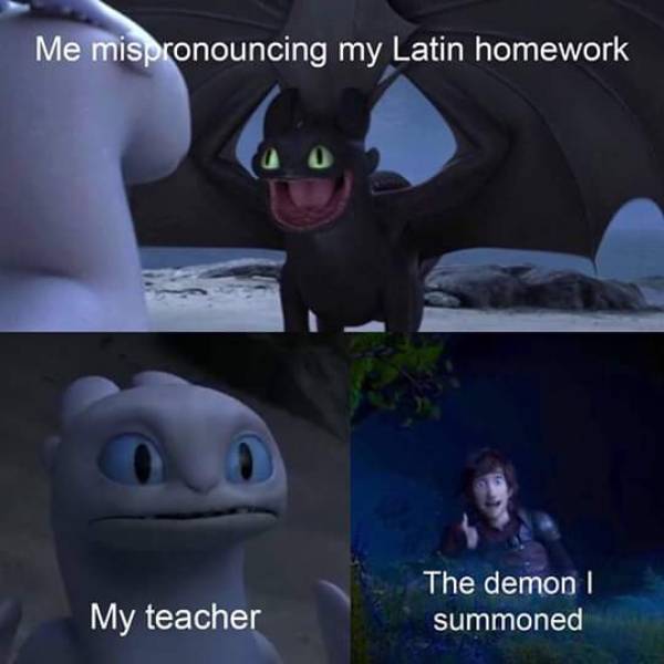 funny picdump 53 pics 4.html - 53 HD Photos | Premium Gallery 2019