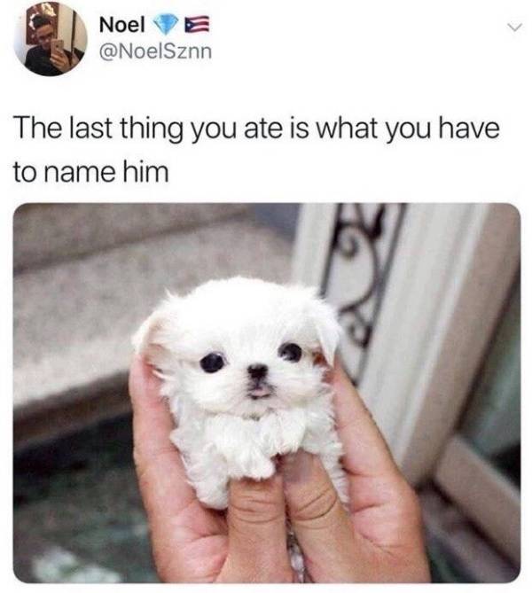 funny picdump 53 pics 4.html - 53 HD Photos | Premium Gallery 2019