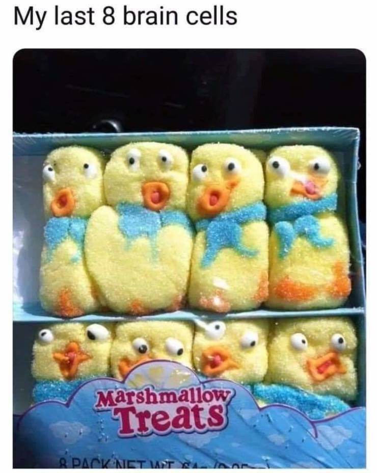 funny picdump 53 pics 4.html - 53 HD Photos | Premium Gallery 2019