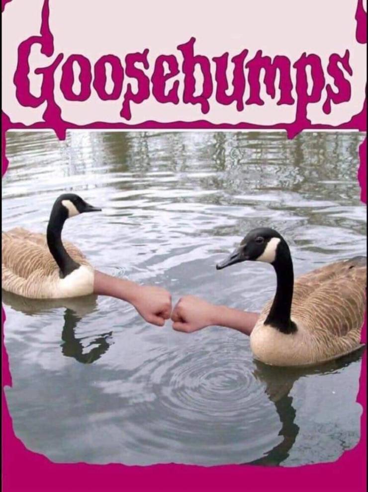 funny picdump 53 pics 4.html - 53 HD Photos | Premium Gallery 2019