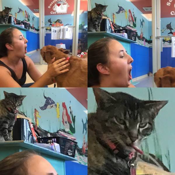 daily picdump 95 pics 16.html - 95 HD Photos | Premium Gallery 2019