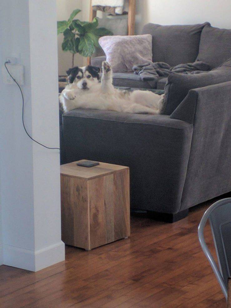 daily picdump 95 pics 16.html - 95 HD Photos | Premium Gallery 2019