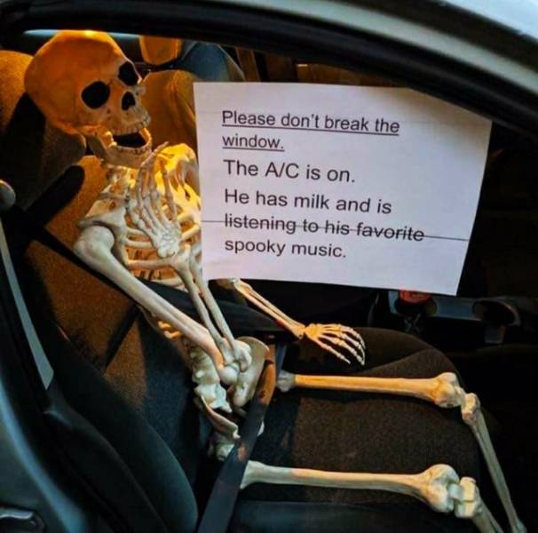 funny picdump 49 pics 18.html - 49 HD Photos | Premium Gallery 2019