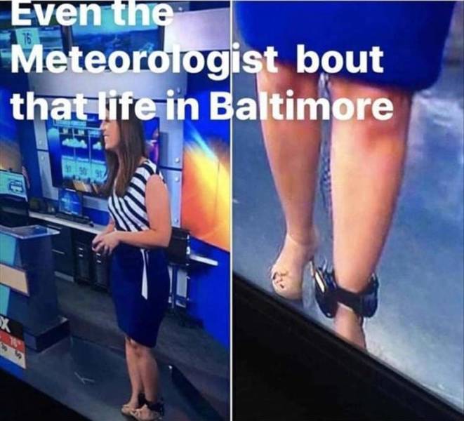 funny picdump 49 pics 18.html - 49 HD Photos | Premium Gallery 2019