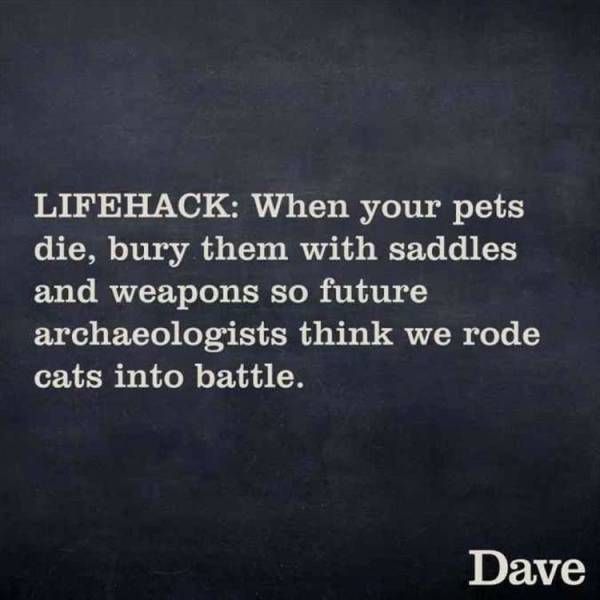 funny picdump 49 pics 18.html - 49 HD Photos | Premium Gallery 2019