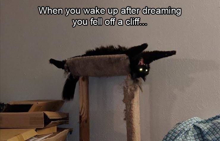 funny picdump 49 pics 18.html - 49 HD Photos | Premium Gallery 2019