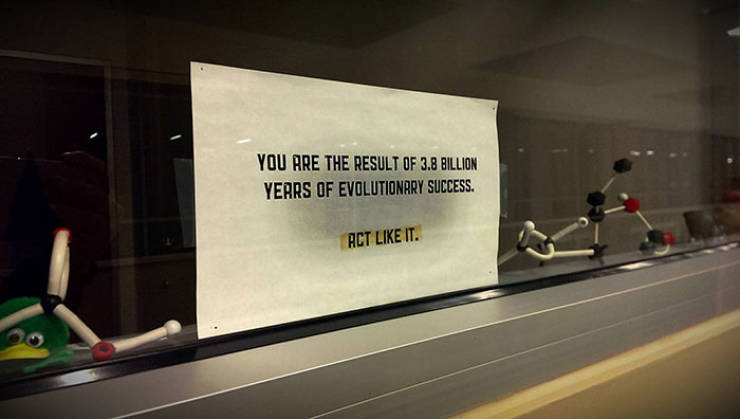 These Teachers Are The Best!