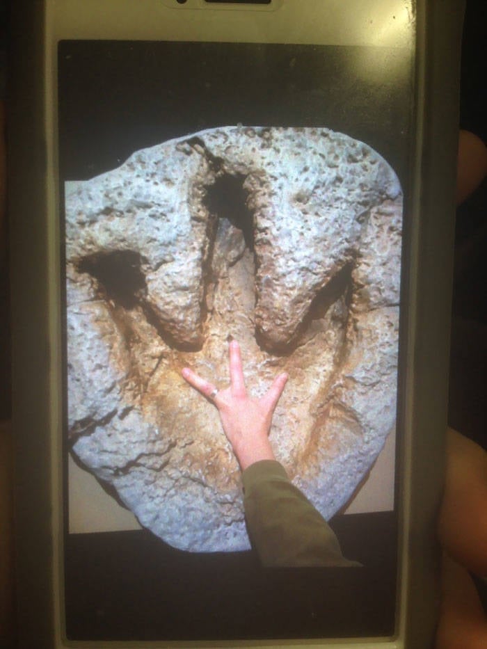 These Teachers Are The Best!