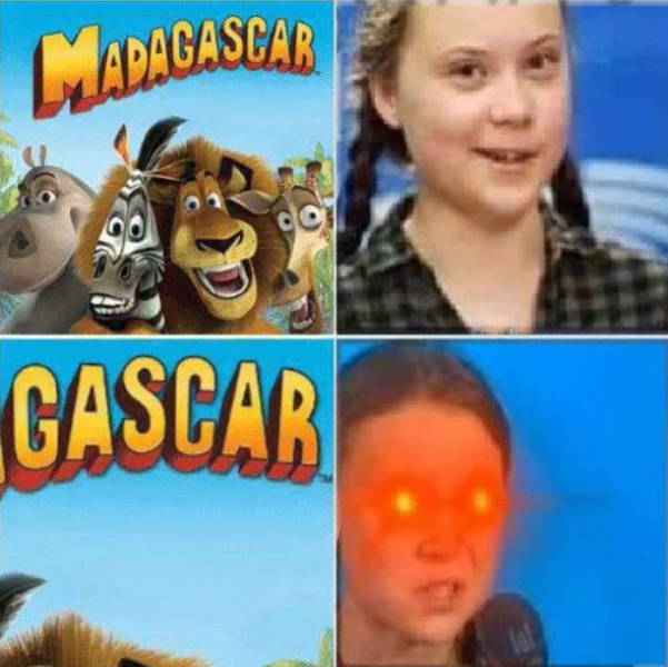 page,10,top 250 funny pics of the year 2019.html - 1 HD Photos | Premium Gallery 2019