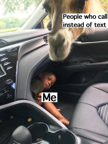 page,10,top 250 funny pics of the year 2019.html - 1 HD Photos | Premium Gallery 2019