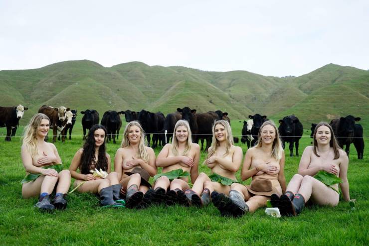grownup corner 66 pics 3.html - 66 HD Photos | Premium Gallery 2019