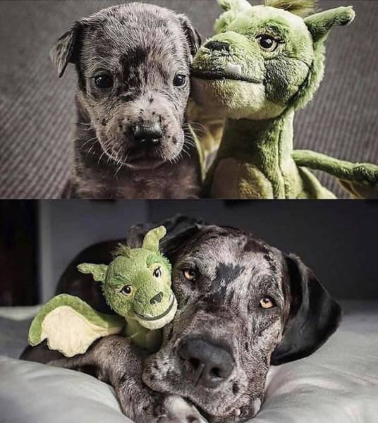 page,4,top 750 daily pics of the year 2019.html - 1 HD Photos | Premium Gallery 2019