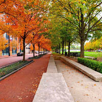 hot girls are here for you 38 gifs.html - 1 HD GIF | Premium Gallery 2020