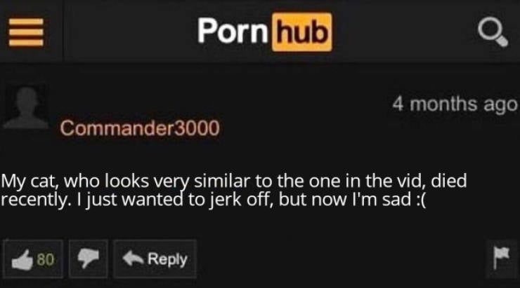 Pornhub Comment Section Is… Well… You’ll See