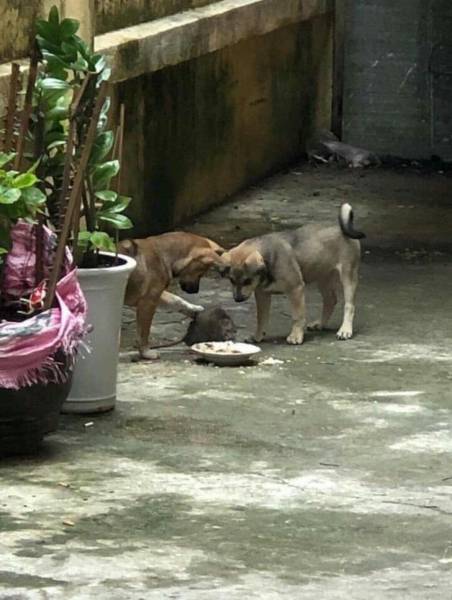 page,17,top 750 daily pics of the year 2019.html - 1 HD Photos | Premium Gallery 2019