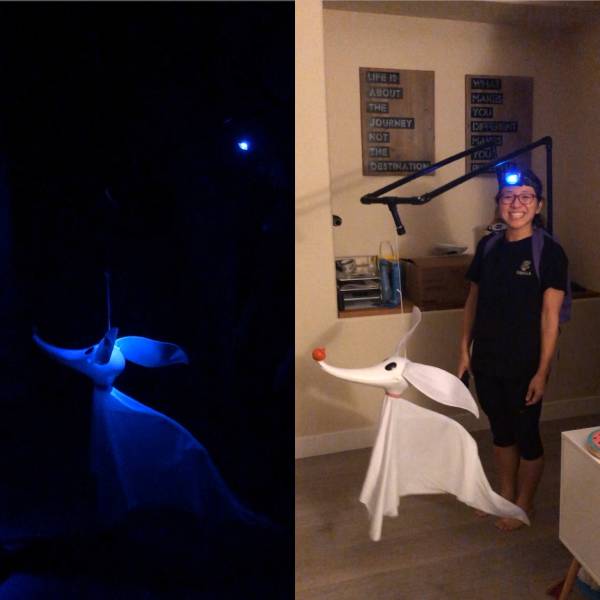 page,9,top 250 morning pics of the year 2019.html - 1 HD Photos | Premium Gallery 2019