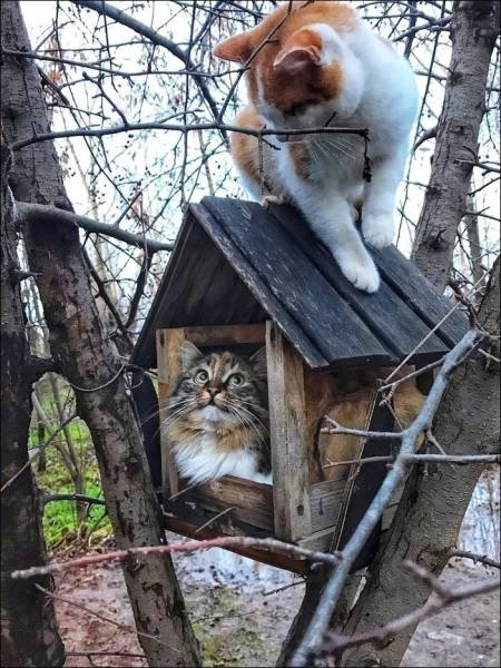 page,28,top 750 daily pics of the year 2019.html - 1 HD Photos | Premium Gallery 2019