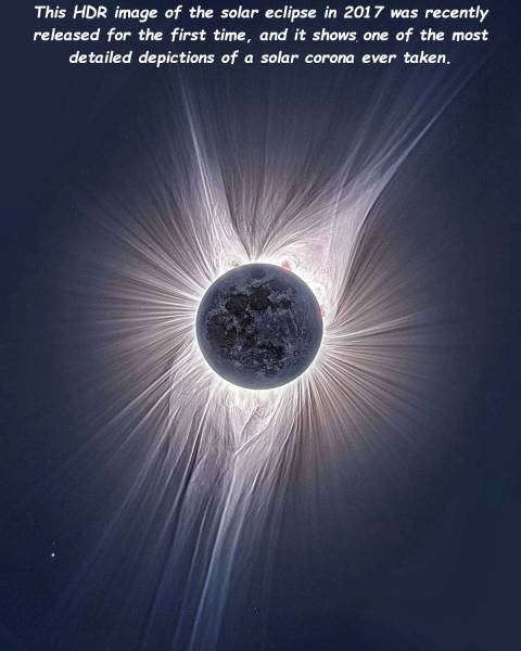 page,2,top 750 daily pics of the year 2019.html - 1 HD Photos | Premium Gallery 2019