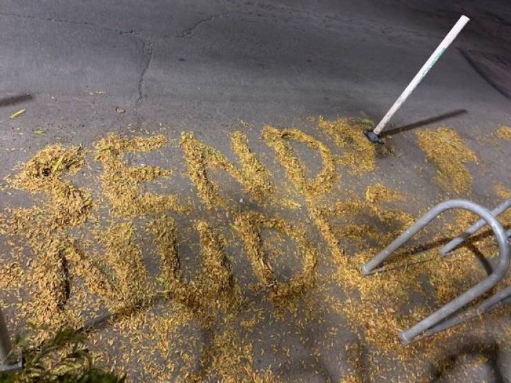 Dirty Mind, Come Here!