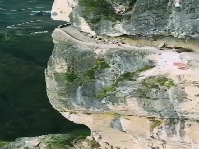 top 75 videos of the year 2019.html - 1 HD Video | Premium Gallery 2019