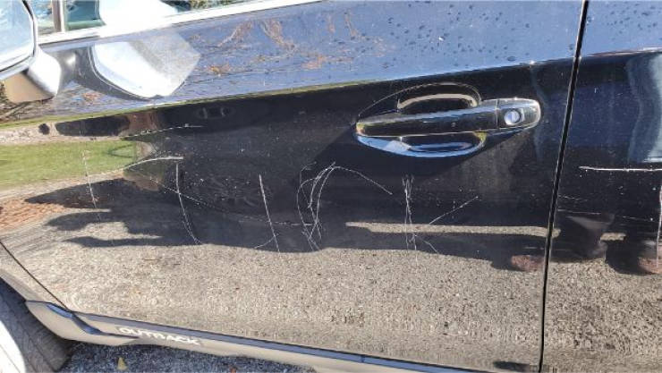 Trash Is All Around Us…