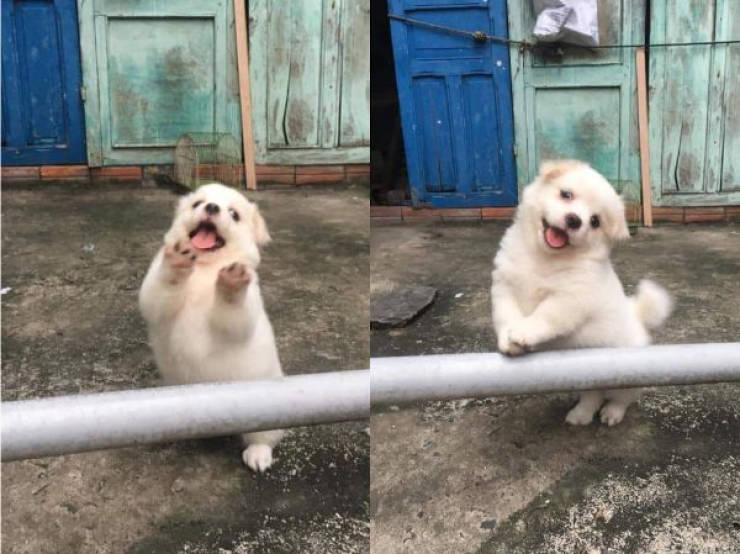 page,4,top 100 animals pics of the year 2019.html - 1 HD Photos | Premium Gallery 2019