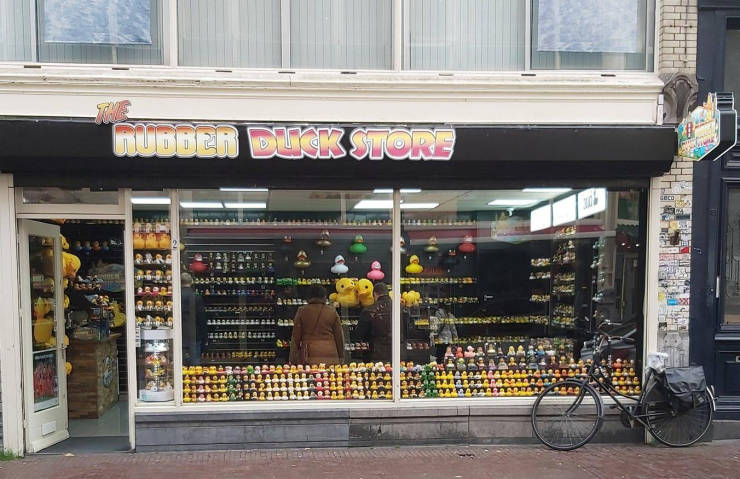 page,9,top 250 morning pics of the year 2019.html - 1 HD Photos | Premium Gallery 2019