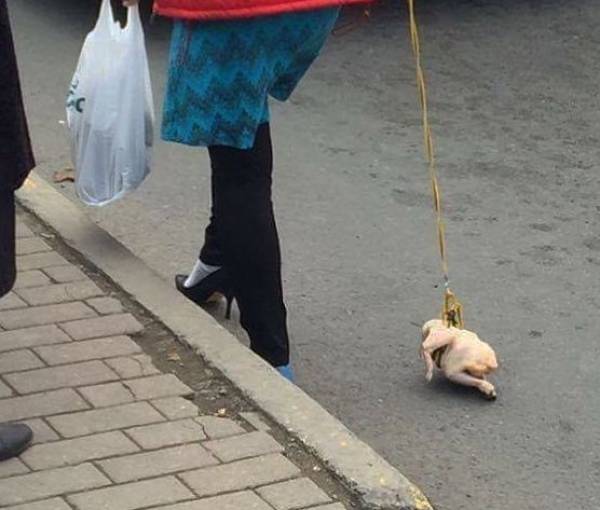 Sometimes You Just Can’t Explain…