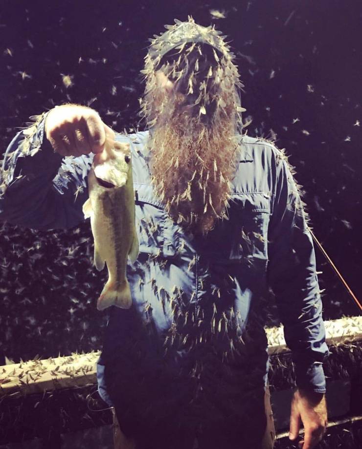 Sometimes You Just Can’t Explain…