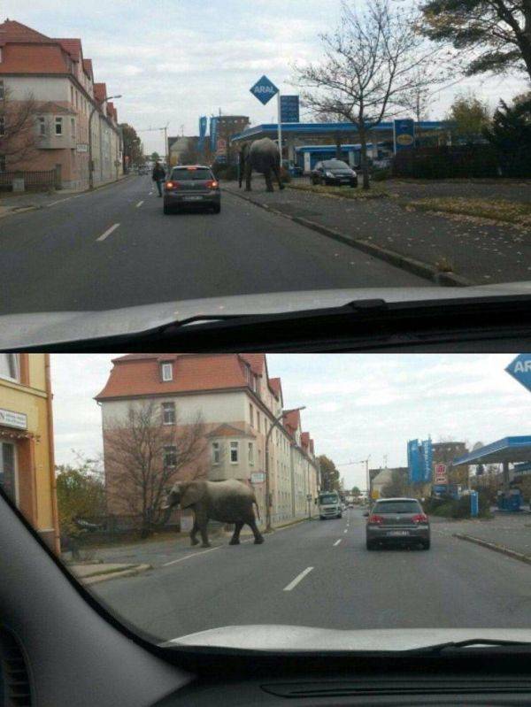 Sometimes You Just Can’t Explain…